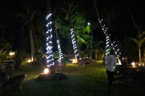 Cowrie Beach Haven Studio