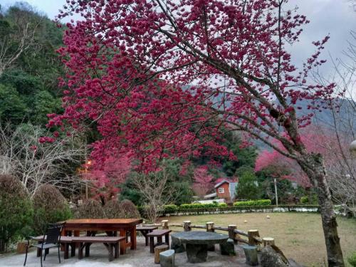 外観, 溪景生態農莊 桃園市民宿037號 in 復興区（フーシン）