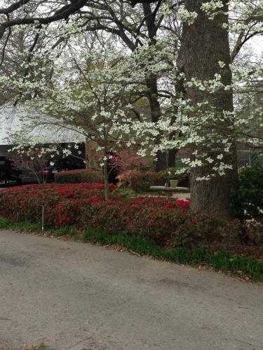 Jardim, Dogwood Springs Lodgings in Mineola (TX)