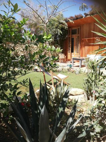 Barefoot by Barefoot in Tunis Room Type - Holiday Home