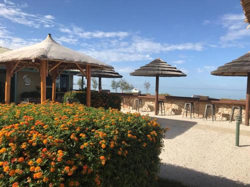 ทัศนียภาพภายนอกโรงแรม, Shark Bay Seafront Apartments in เดนแฮม