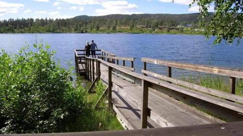 Måvikens Camping Måvikens Camping