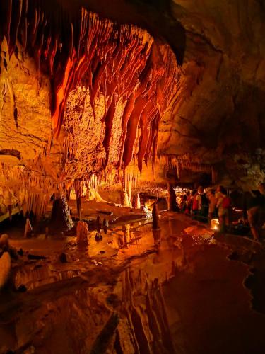 Magnifique gite en pierres 6 personnes avec piscine privee Ardeche plein sud