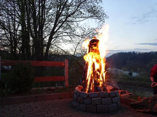Gasthaus Zur Rosenaue - image 5