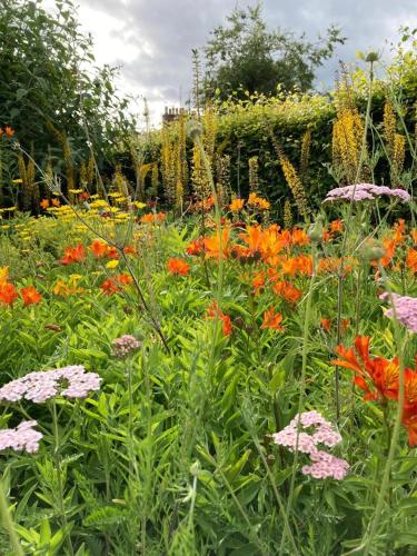 Tigh Na Leigh - main image