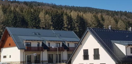 "PENZION NA BUKOVÉ HOŘE" - apartmánový dům, Horský resort Buková hora