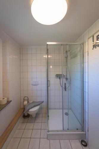 FeWo-Wustrow - image 7