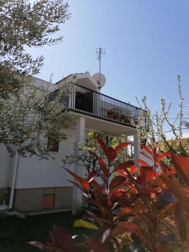 Apartment Magnolia in Petrcane Városközpont