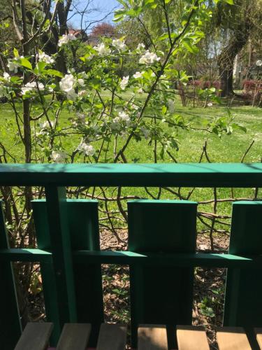  Geneva Bernex - shared appartement roomate homestay - tramway 14 TPG - ViaRhôna in Genf