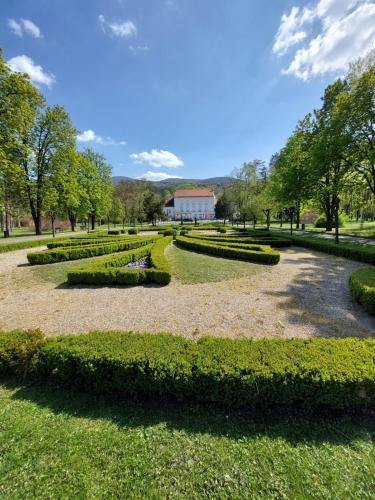 Aleks Sobe in Banja Koviljaca