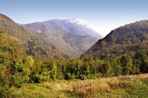 Laura in Dreznica - Haus fur 4-6 Personen