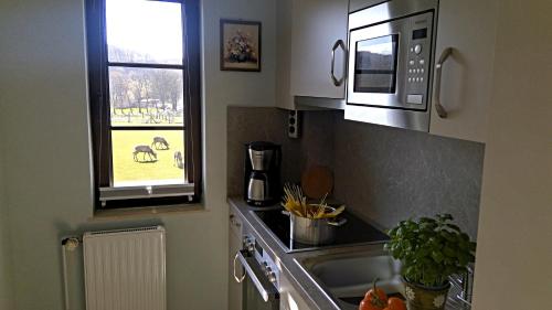 virtuve, Ferienwohnung im Nationalpark Jasmund in Lohme