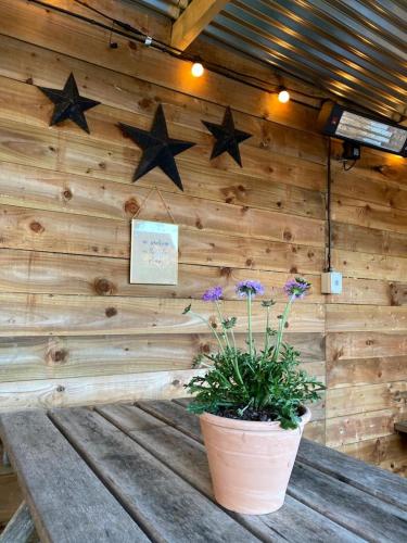 The Windmill Inn - main image