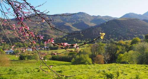 Hotel Rural El Otero in La Borbolla