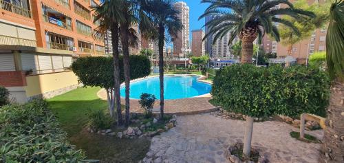 ADELFAS - Fincas Arena, Benidorm (photo 4)