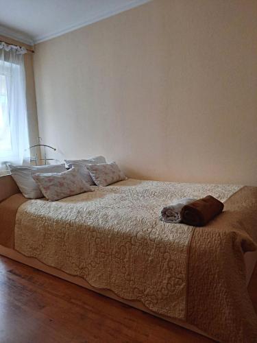 Apartment in the historical city center, Černovice (fotografie 6)