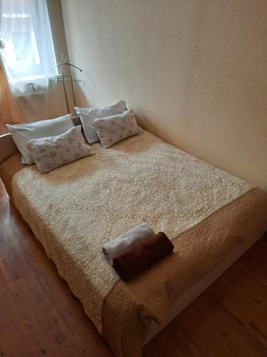 Apartment in the historical city center, Černovice (fotografie 5)