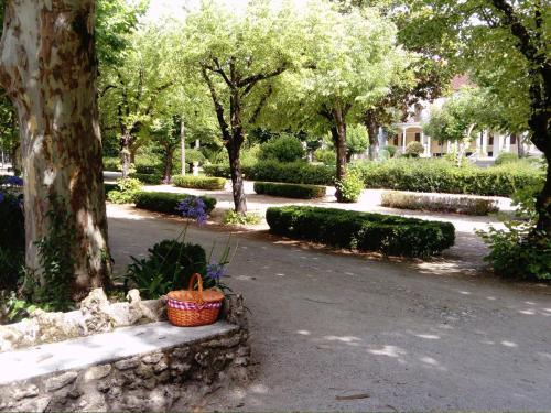 Hotel Termas da Curia - image 5