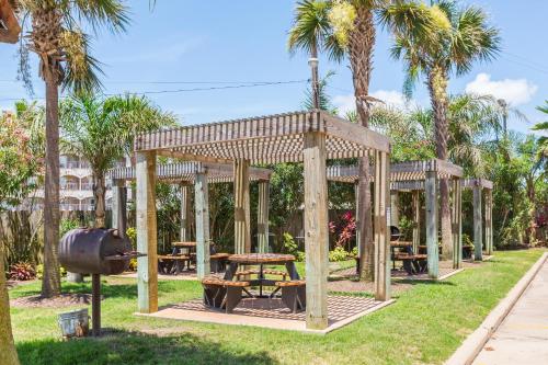 Right on the Seawall Beach Heated Pool BBQs - Mi Casa es Su Casa! - image 2