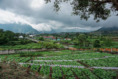 Rinjani Hill Hotel