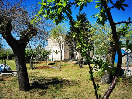  Apartment Šantić in a quiet village Kras on the Island Krk in Kras