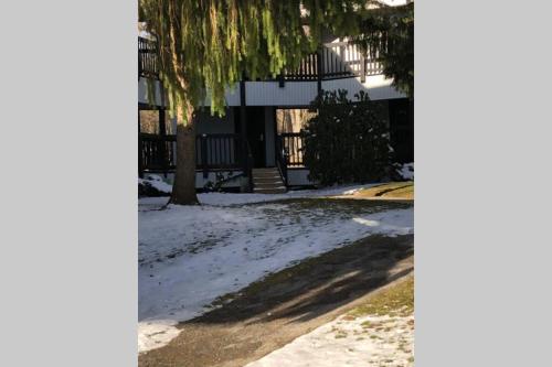 Blue Knob (2/Bedroom, 2/Bathroom Condo) in Johnstown (PA)