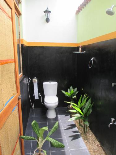 椰樹島山林小屋
