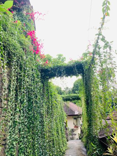 Gek House Ubud Bali 4