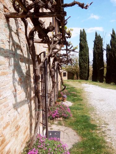 Villa Podere Cartaio Bio Estate Pool AirC