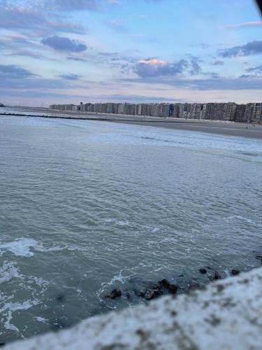 Double View, Blankenberge (foto 10)