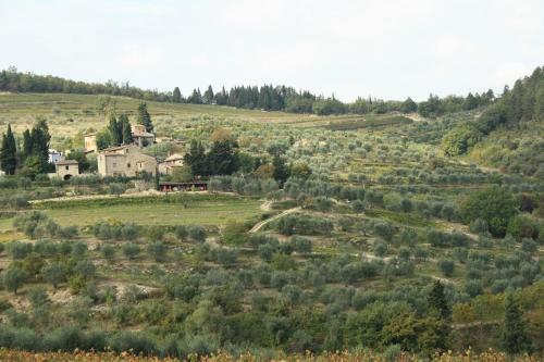 Agriturismo Podere Somigli di Lorenzo Correani