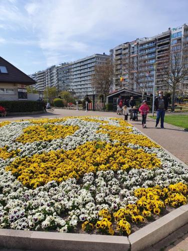 Beaulieu, Blankenberge (fotografie 4)