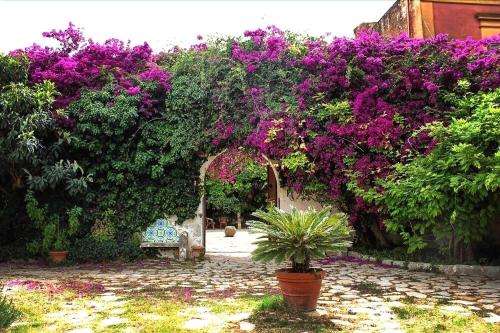 Tenuta Donna Vittoria - Scuderia Grande