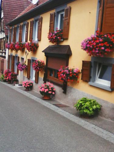 Relais de la diligence - Location saisonnière - Romanswiller