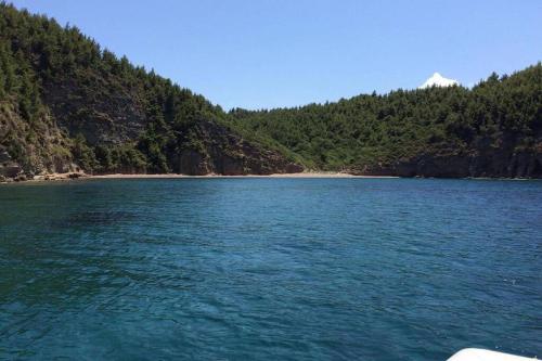 Gorgeous beachfront luxury villa in Evia (Euboea)