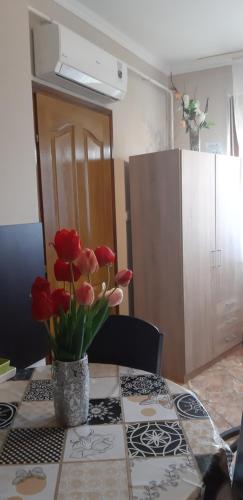 Flora Apartman in Ujvaros