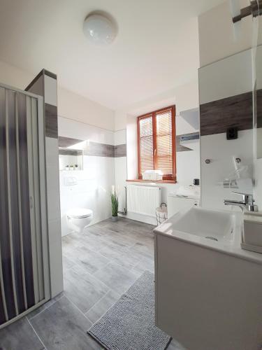 Vannituba, Apartmán Špálovka (Apartman Spalovka) in Nový Bor