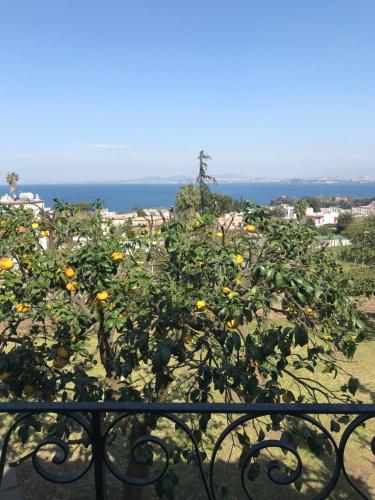 Mare ischia