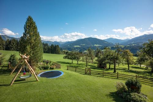 Drittlhof, Hopfgarten im Brixental (foto 4)