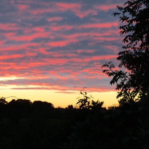 Barnkirk Holidays in نيوتون ستيوارت