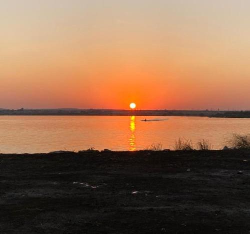 Zeita din Bel-Air, Mamaia Nord