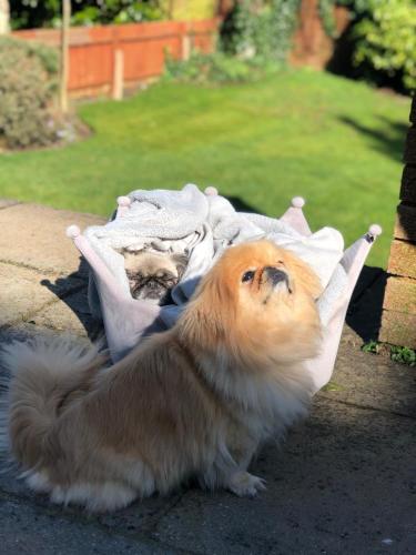 Westbourne Lodge Birmingham