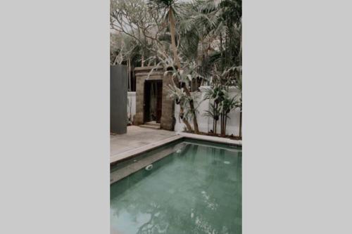 The Villa Canggu