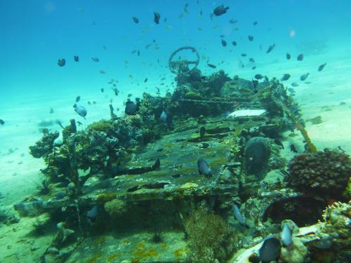 Malapascua Exotic Island Dive Resort