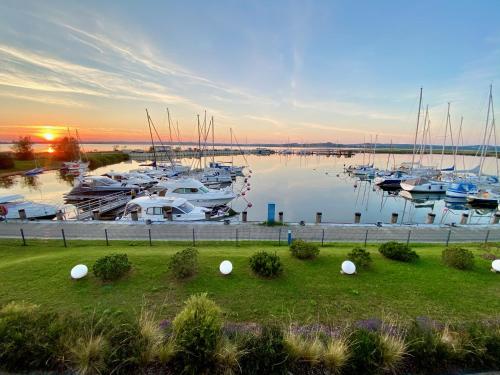 monchgut living & spa - Gustow