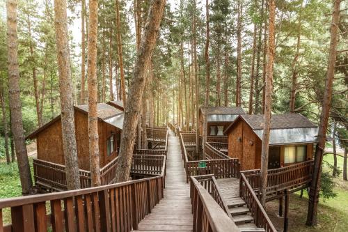 Oi-Qaragai Mountain Resort - Accommodation - Besqaynar