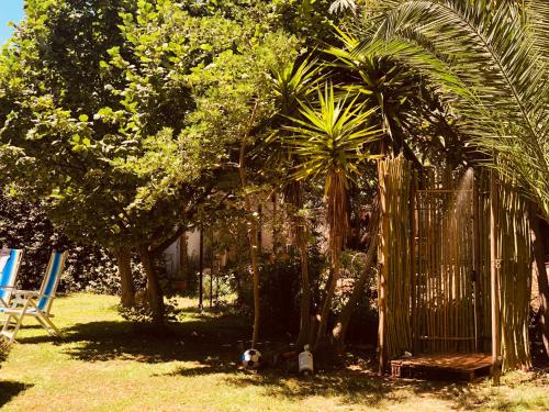 Villa Berghella - image 4
