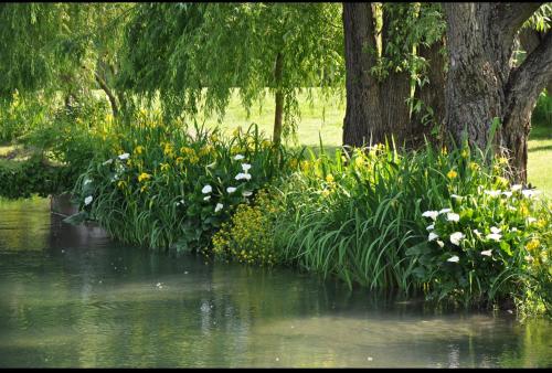 لا فينيسترا سول فيوم