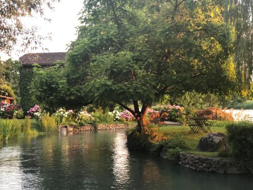 لا فينيسترا سول فيوم