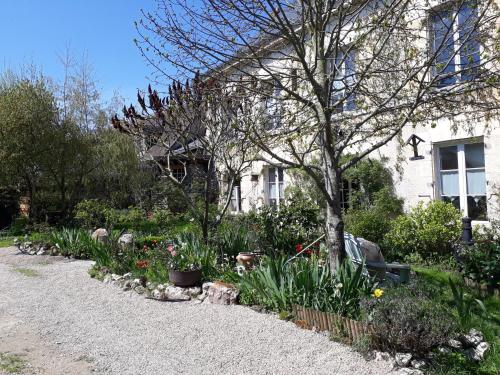 Le Clos Joséphine - Chambre d'hôtes - Saint-Dyé-sur-Loire